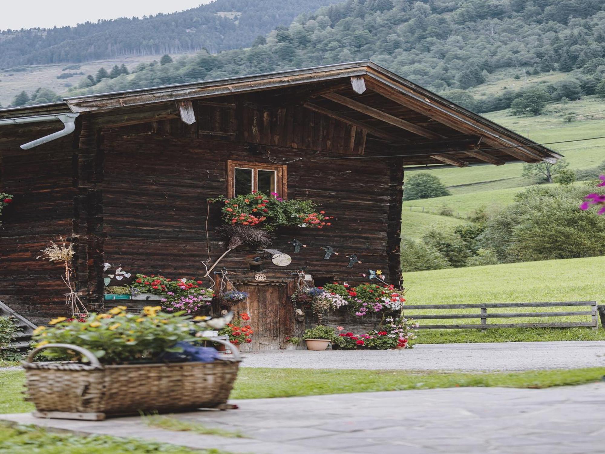 Holiday Home Fusch An Der Glocknerstra E Fusch an der Grossglocknerstrasse المظهر الخارجي الصورة